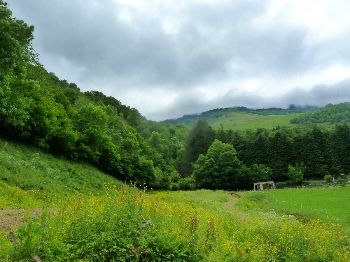 Maison Bergoun Borce Luaran gambar